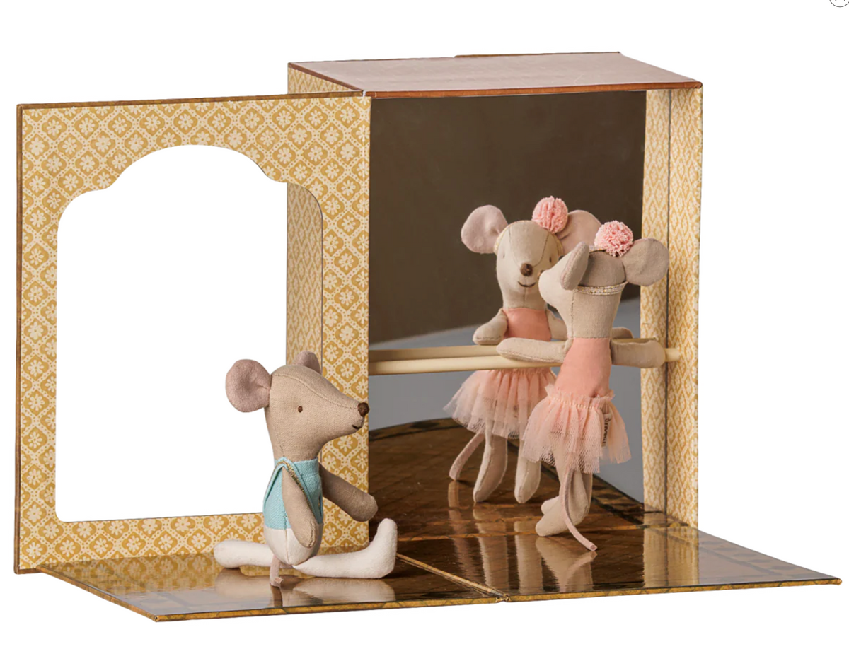 Ballet Mice in Dance Studio, Little Sister and Brother